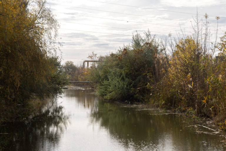 Вода в Дніпрі забруднена стоками