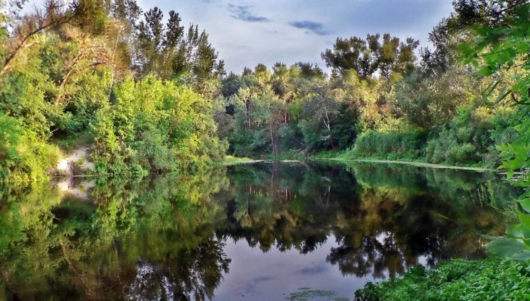 Якою була вода у річці Оріль в Слобожанській громаді, у грудні?