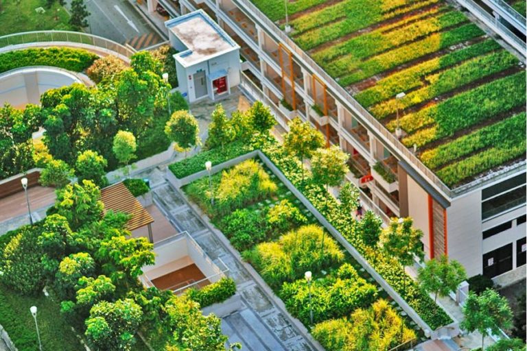 Європейські практики для України: у Дніпрі говорили про зелену трансформацію міст