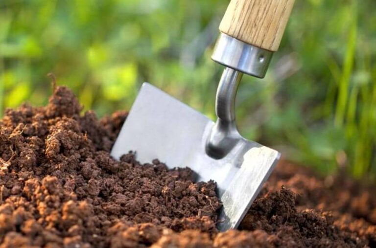 Як відбирати проби ґрунтів під час війни? Нова методика від ЦЕМ