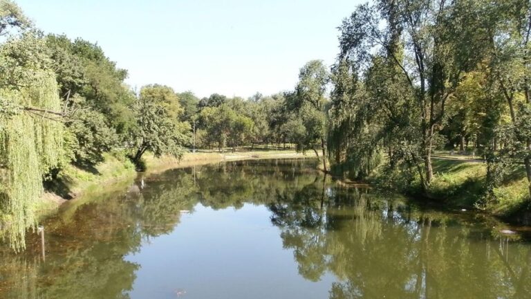 Чи якісною була вода у річці Саксагань 28 серпня?