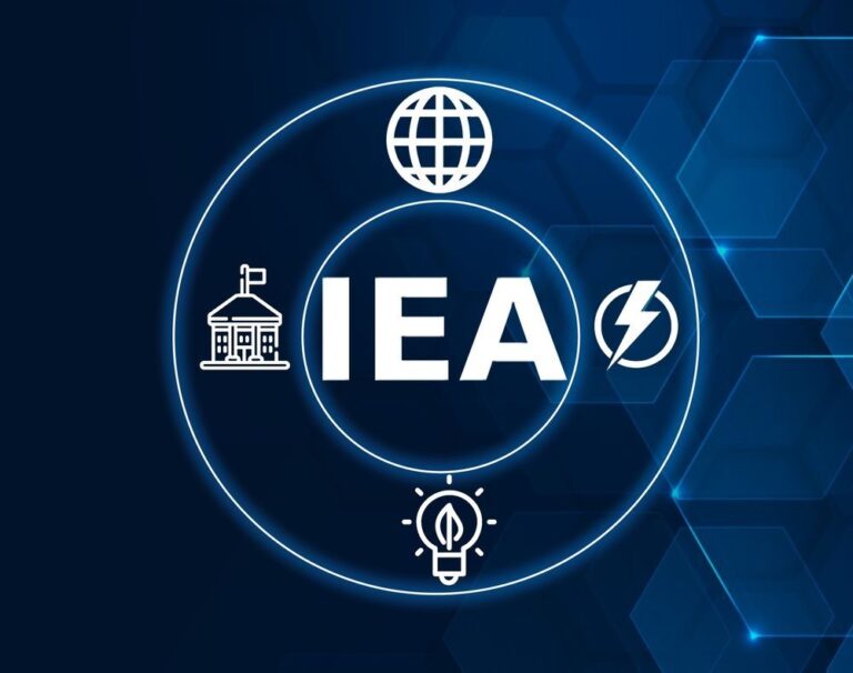 IEA знизило прогноз зростання зеленої енергетики до 2030 року на 5%