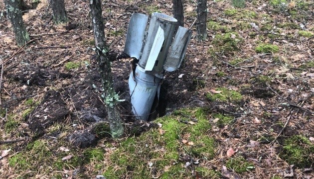 Україна втратила п’яту частину лісового фонду через російську збройну агресію